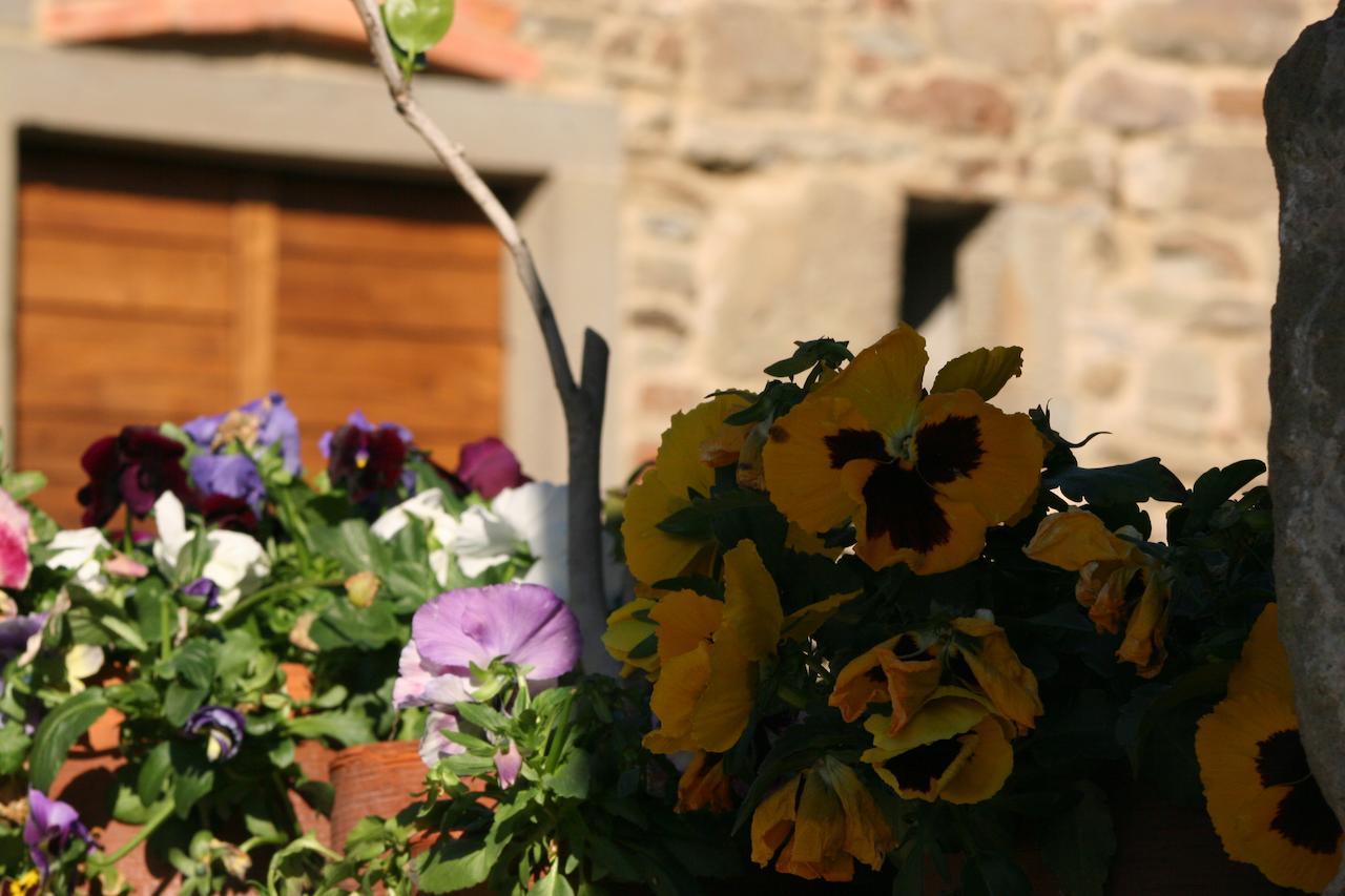 Podere Pian De' Cortini Villa Serravalle  Kültér fotó